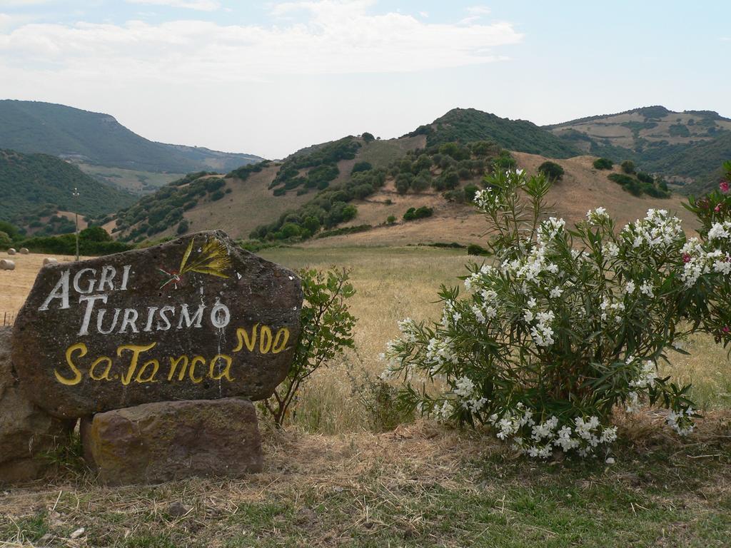 Agriturismo Sa Tanca Noa Tergu 외부 사진