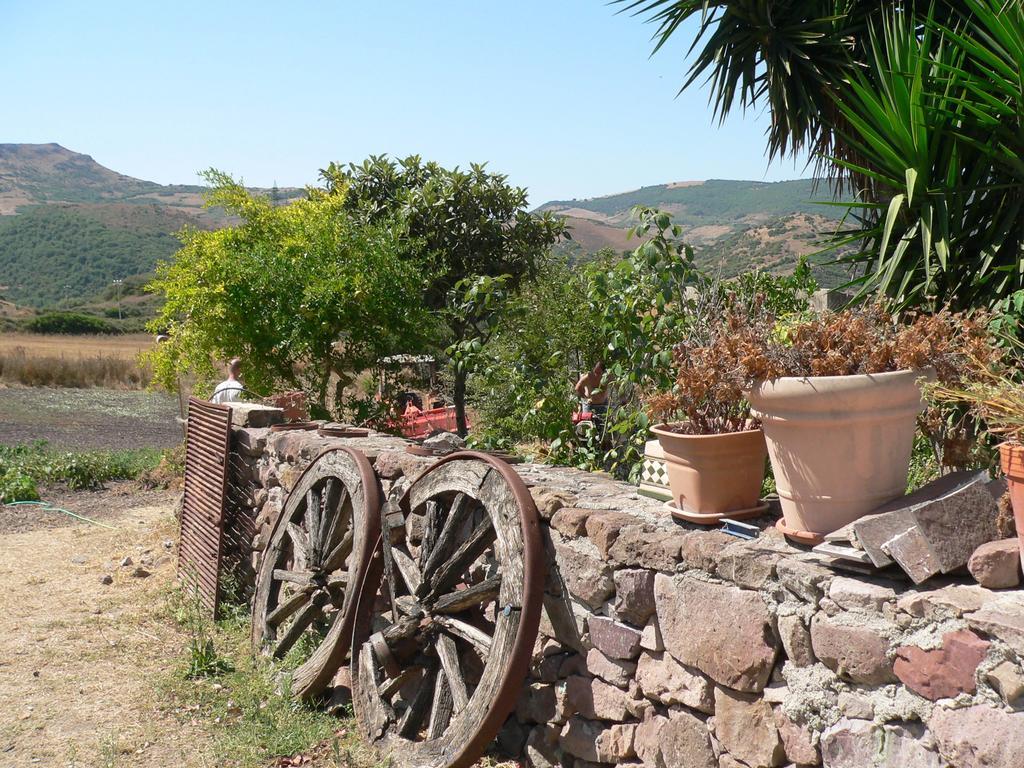 Agriturismo Sa Tanca Noa Tergu 외부 사진