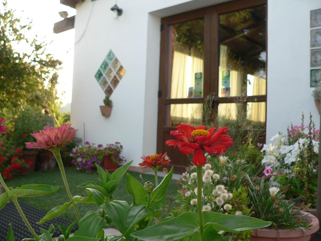 Agriturismo Sa Tanca Noa Tergu 외부 사진