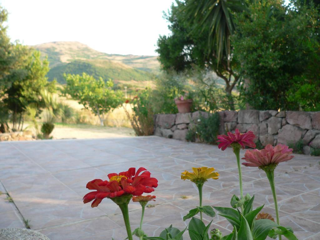 Agriturismo Sa Tanca Noa Tergu 외부 사진
