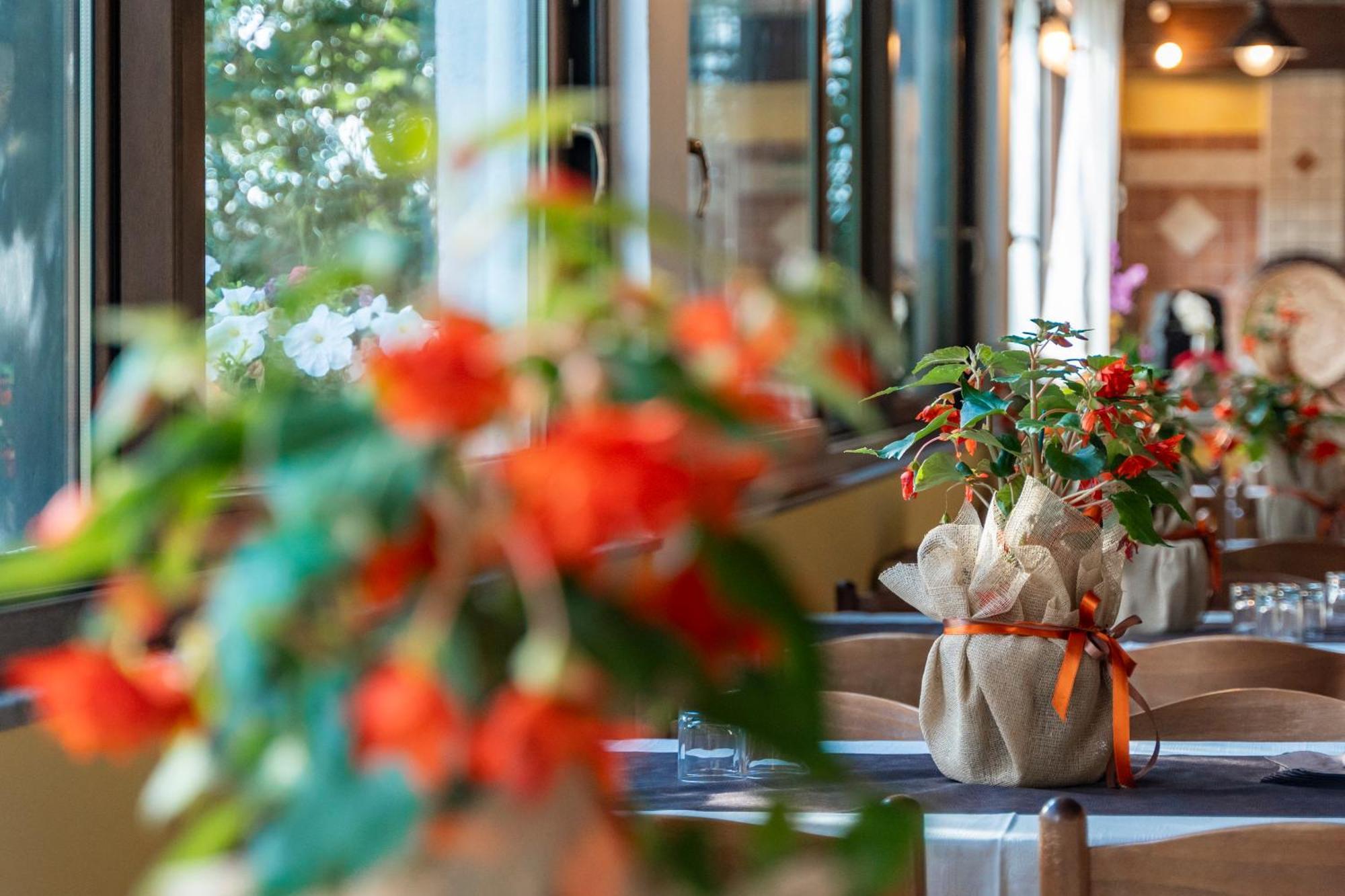 Agriturismo Sa Tanca Noa Tergu 외부 사진