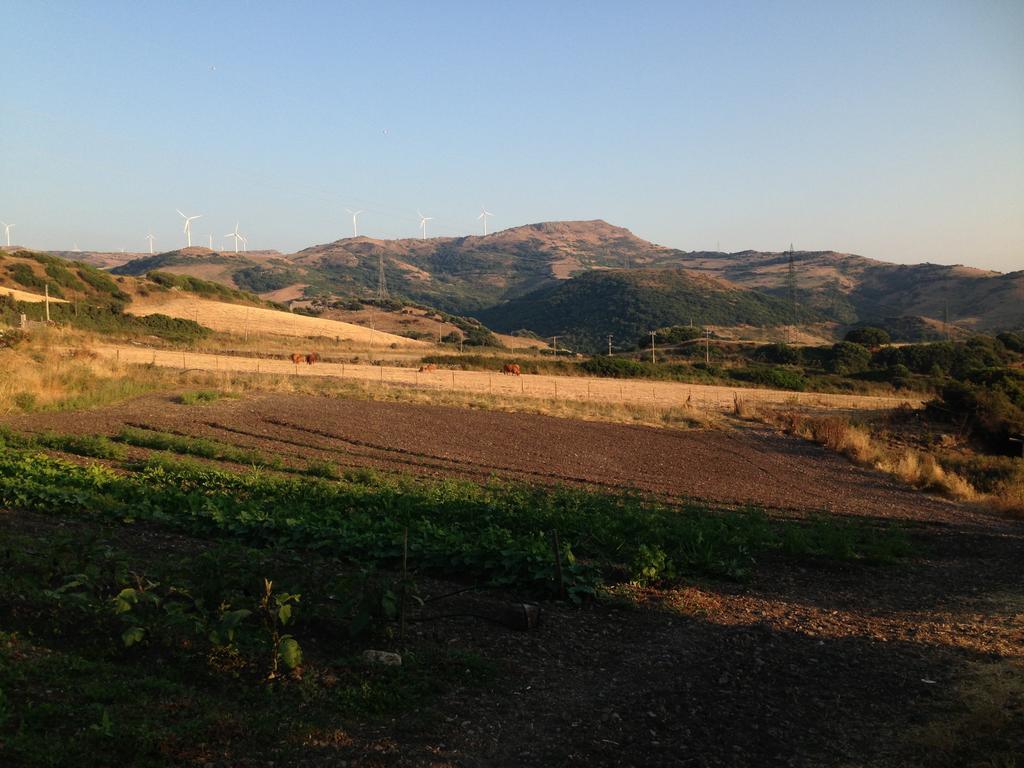Agriturismo Sa Tanca Noa Tergu 외부 사진