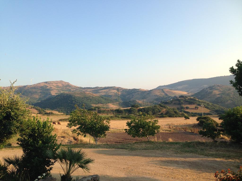 Agriturismo Sa Tanca Noa Tergu 외부 사진