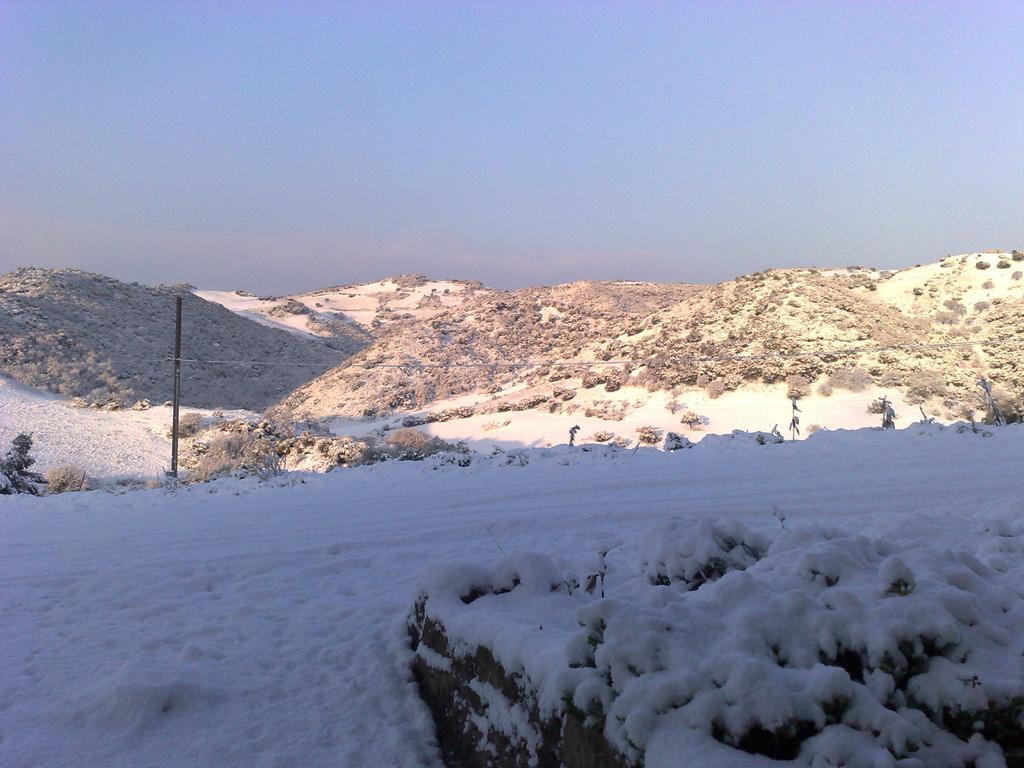 Agriturismo Sa Tanca Noa Tergu 외부 사진