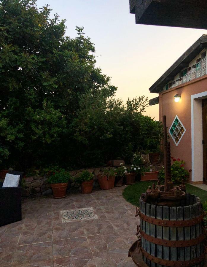 Agriturismo Sa Tanca Noa Tergu 외부 사진
